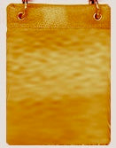 CHIC547-VARIOUS COLORS AVAILABLE